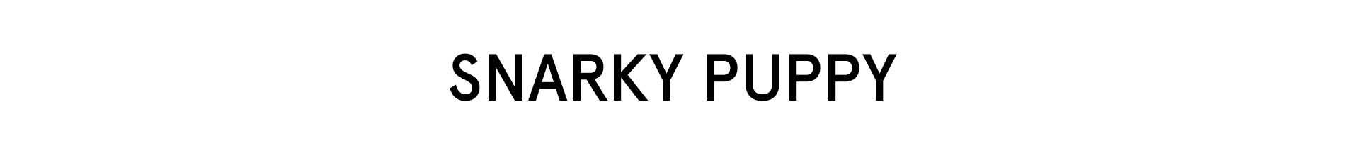 Snarky Puppy